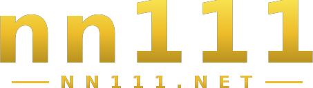 nn111 logo